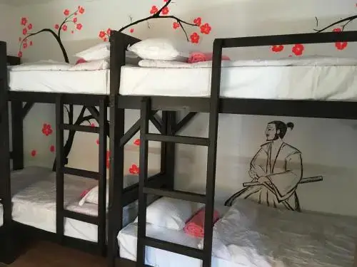 Алматы: Hostel Kok Tobe