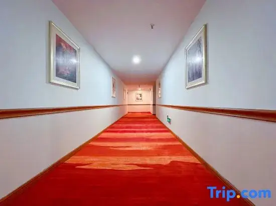 Чунцин: Meihua Hotel