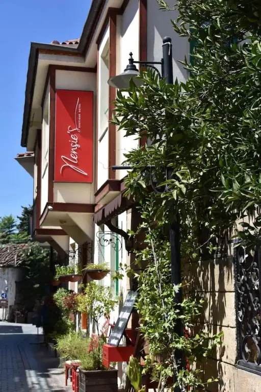 Nensie'S Boutique Hotel — фото 1