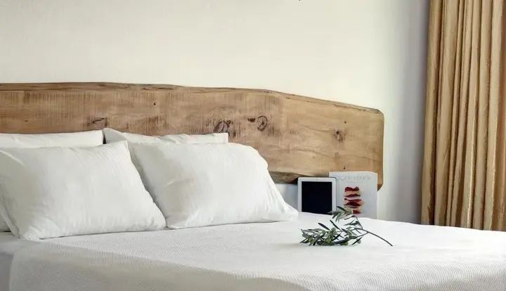 Коюневи: Hanmahall Otel