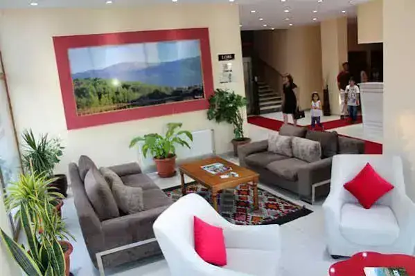 Енис: Yenice Goknar Hotel