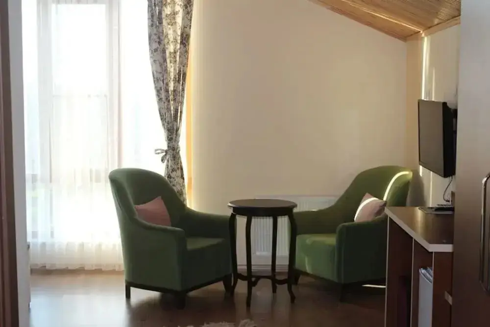 Енис: Yenice Goknar Hotel