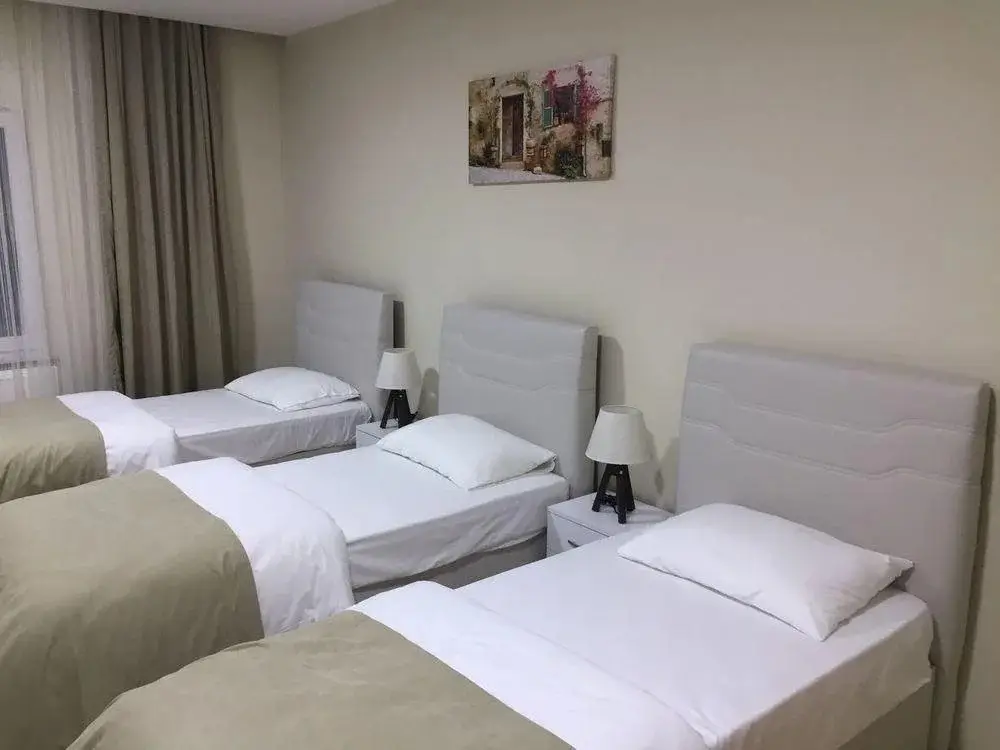 Гереде: Gulaydin Otel Mengen