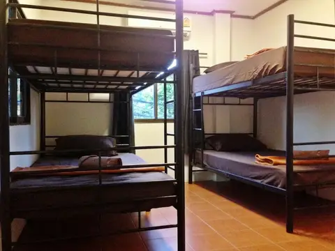 White Rabbit - Hostel — фото 1