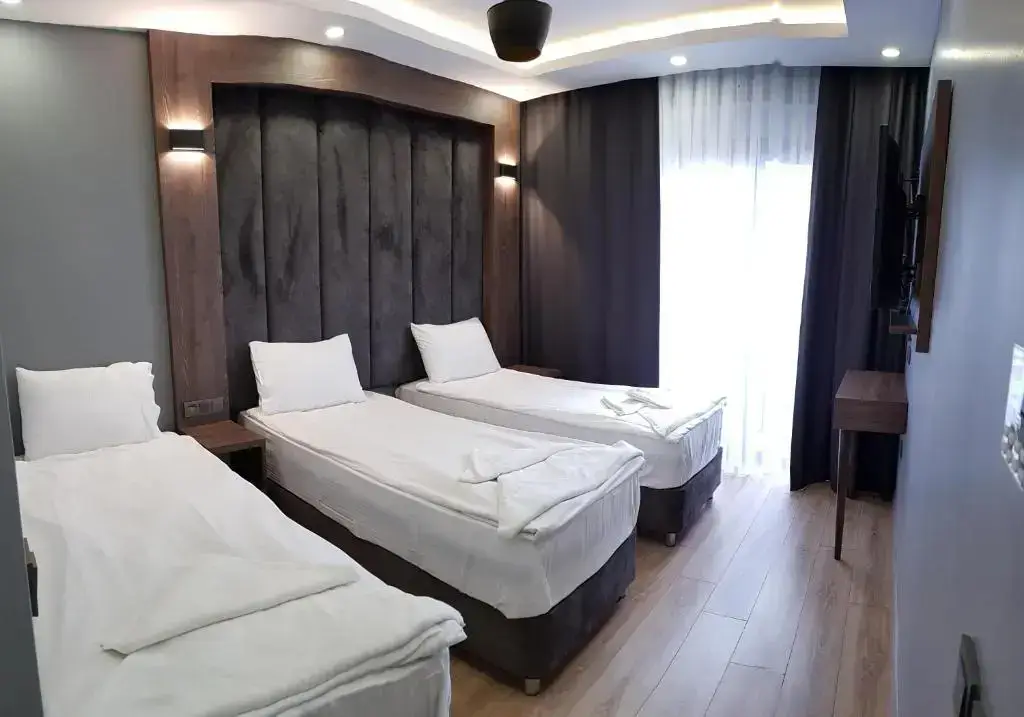Стамбул: Basilissis Hotel