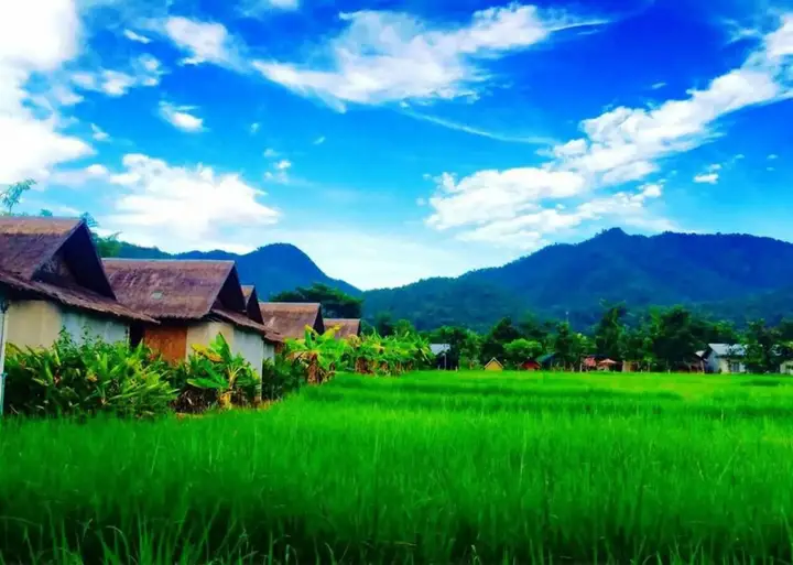 Паи: Luxury Farm House