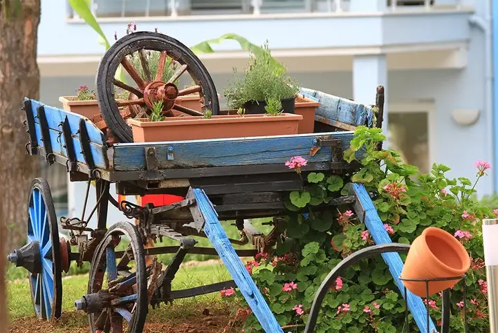 Фетхие: Отель Daisy Garden Resort