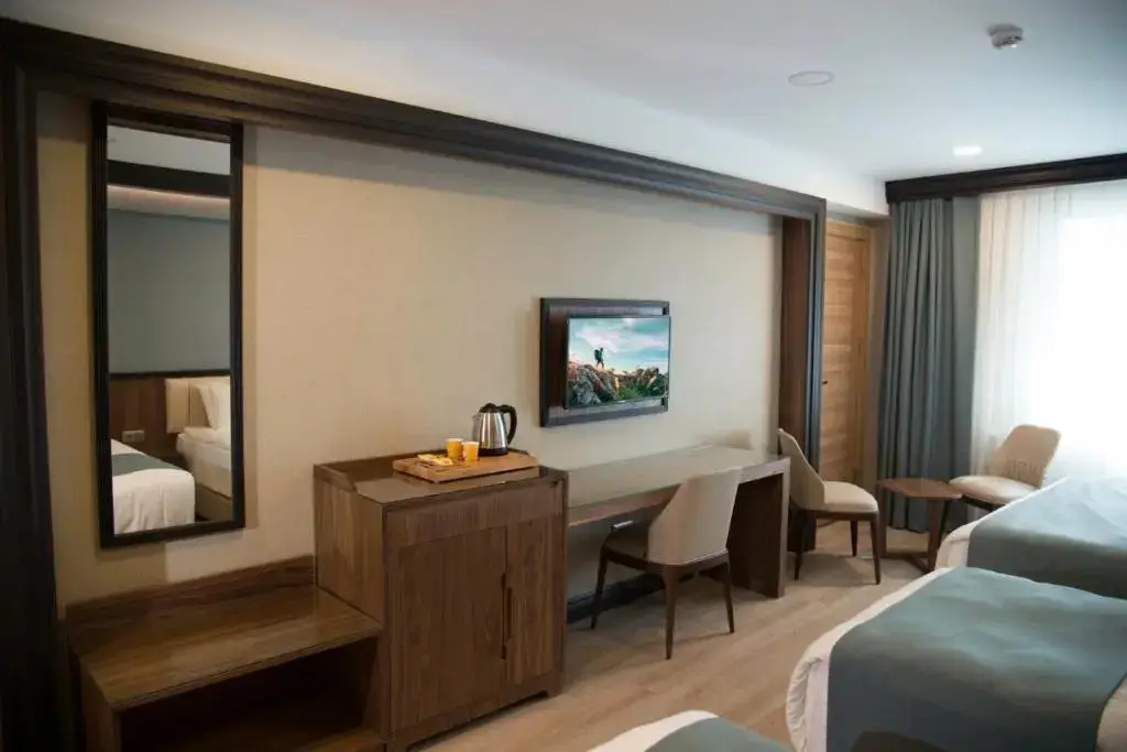 Стамбул: Valens Hotel Downtown