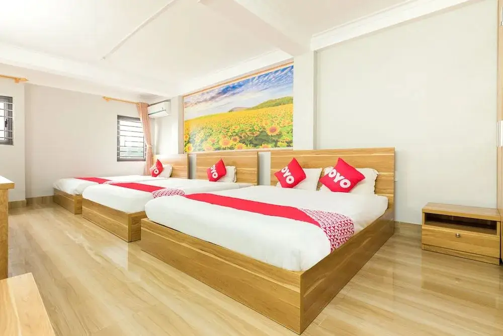 Халонг: OYO 800 Candy Hotel