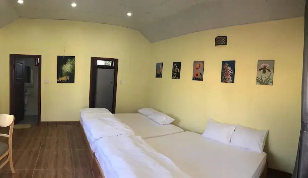 Далат: Tomorrow Homestay Da Lat