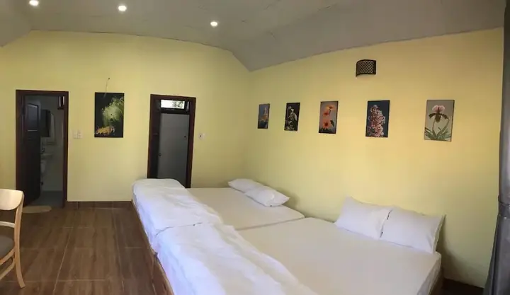 Далат: Tomorrow Homestay Da Lat