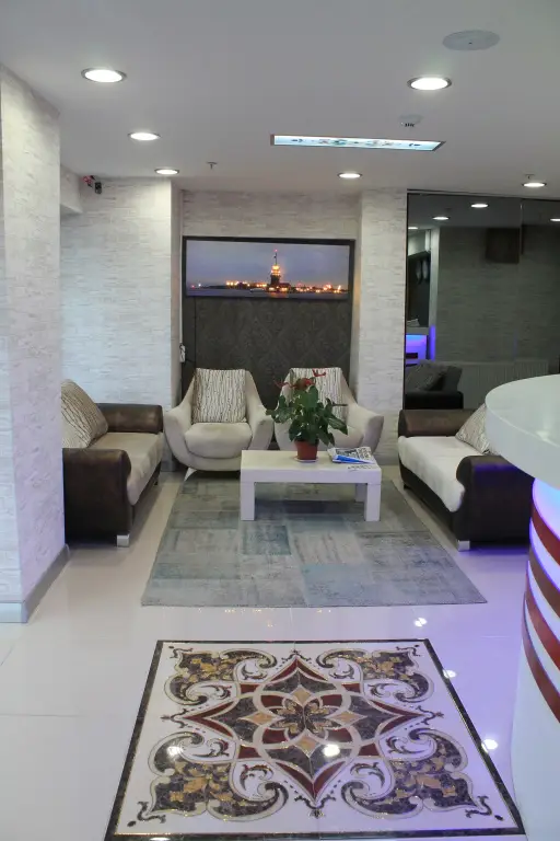 Стамбул: Istanbul Dedem Hotel 1