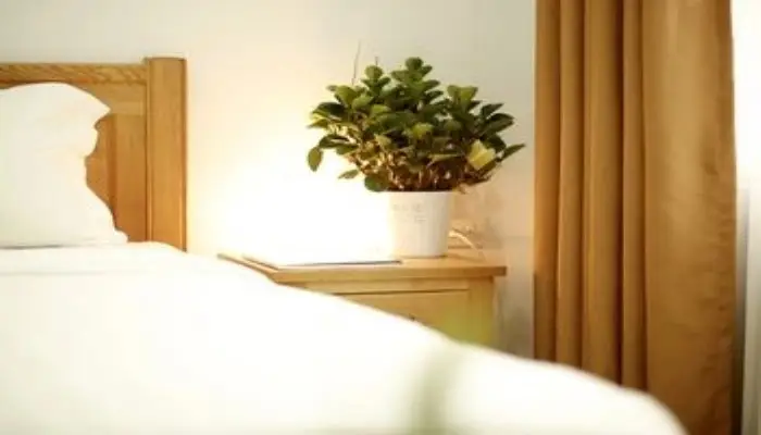 Хошимин: City House Pham Viet Chanh Apartment 11