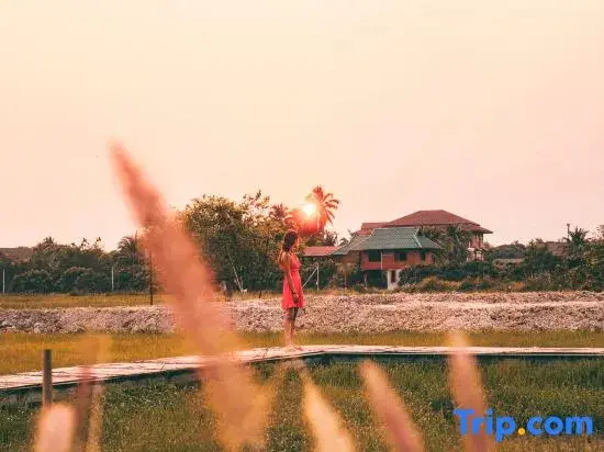 Сан-Патонг: Home at 9