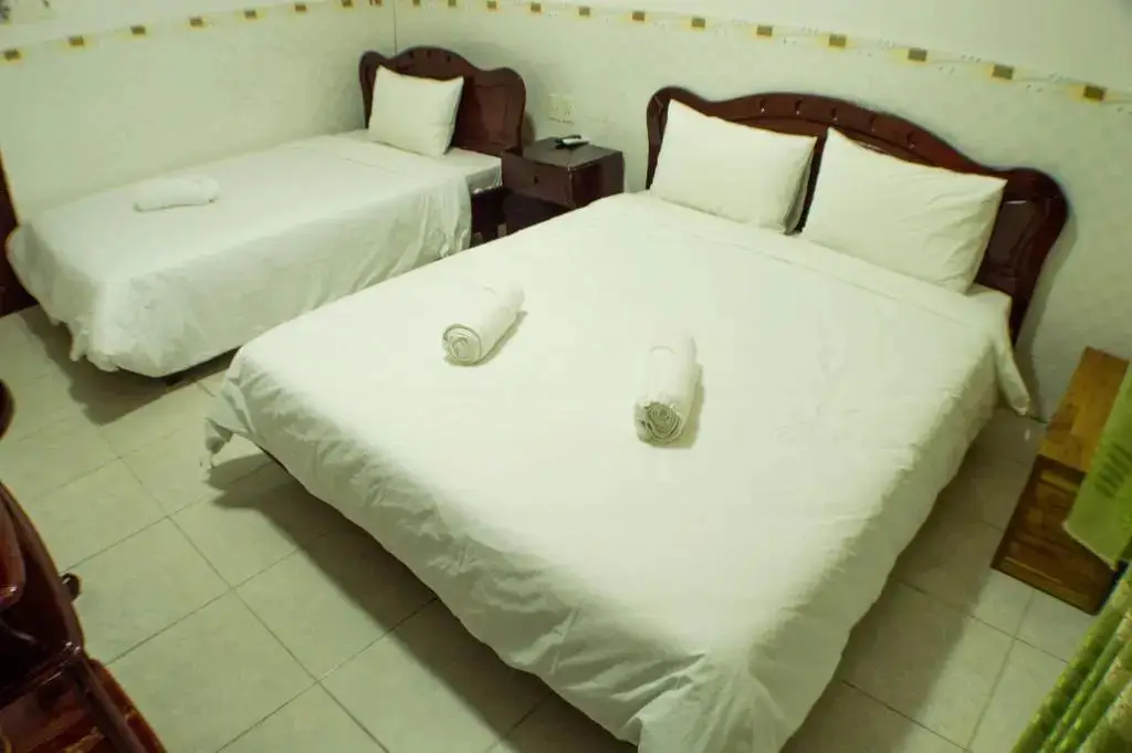 Хойан: DK's Backpacker Hotel