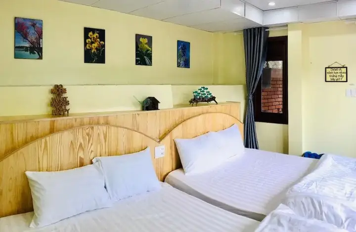 Далат: Tomorrow Homestay Da Lat