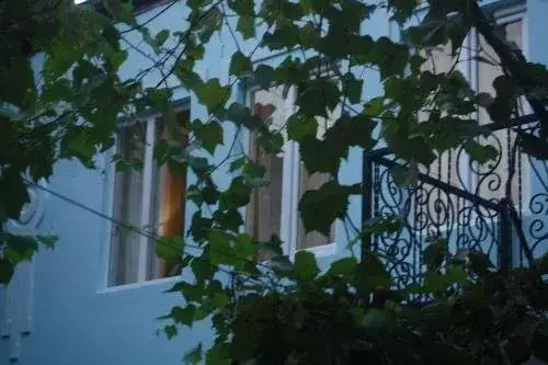 Батуми: Twiggy Hostel