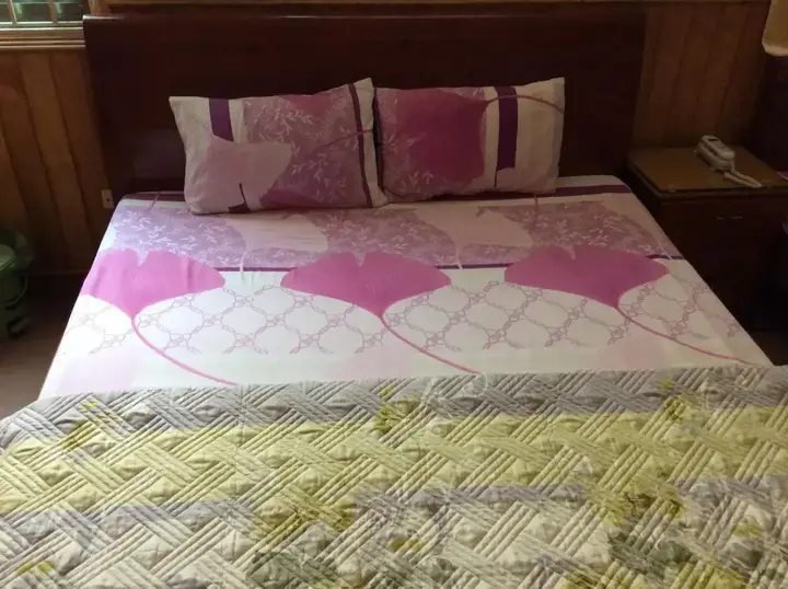 Ханой: Hong Anh Hotel - Lang Ha