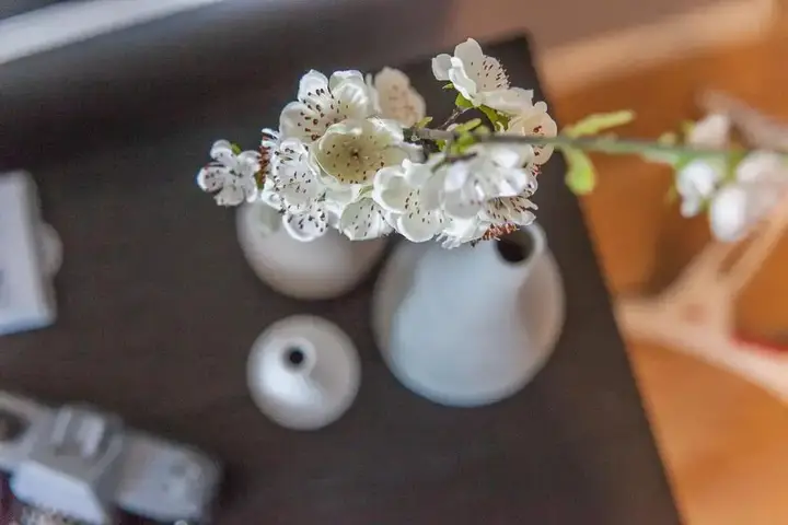 Сиань: Xi'an Yanta·Yongning Gate· Locals Apartment 00135090