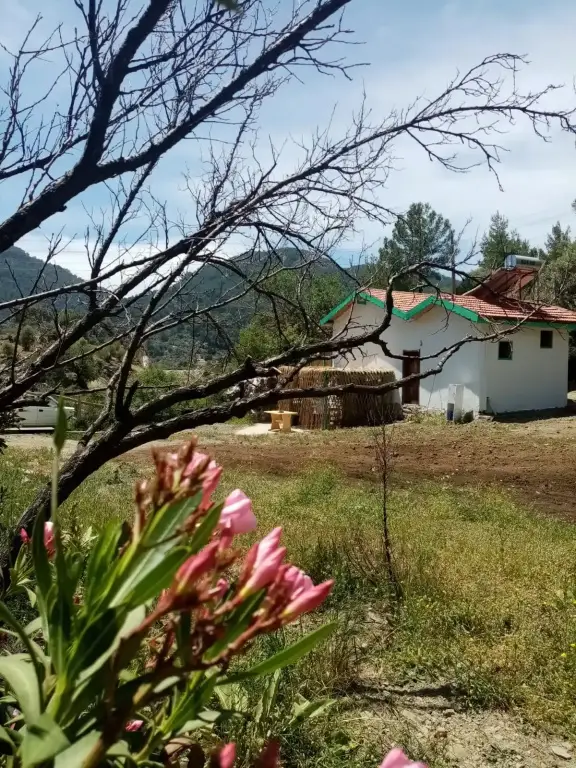 Гокбел: Iztuzu Homes Hotel