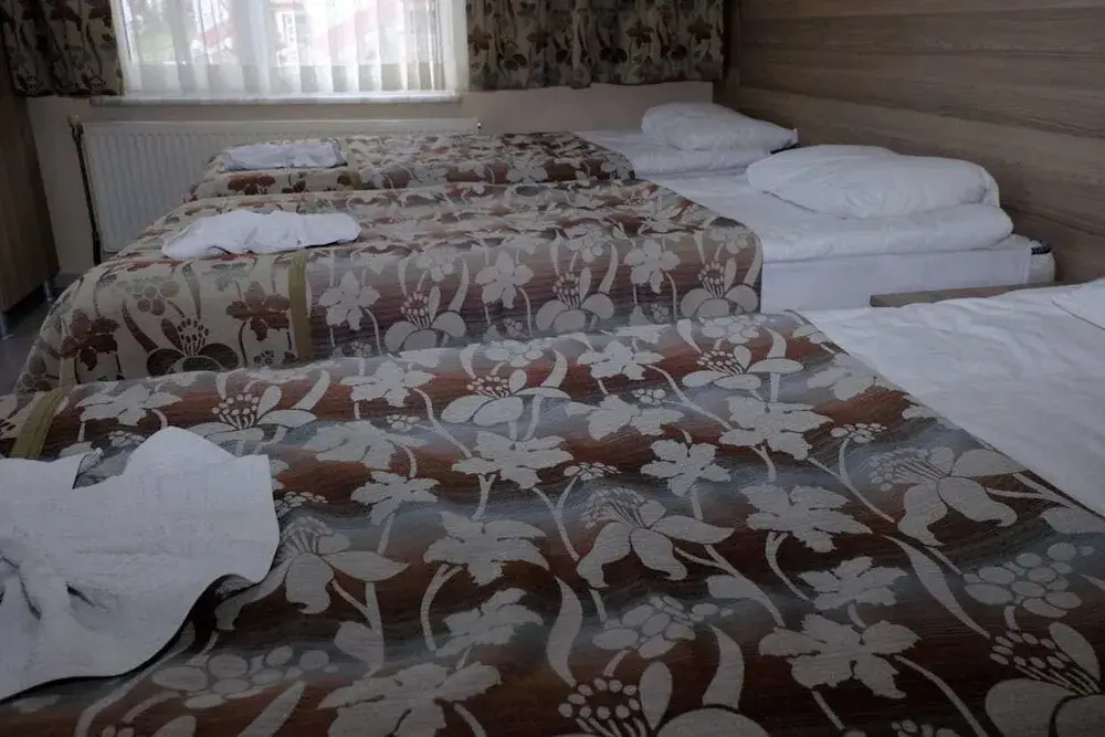 Пинарбаси: Sarimese Hotel