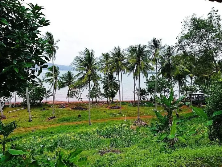 Яо Ной: Three Monkeys Bungalows Koh Yao Noi
