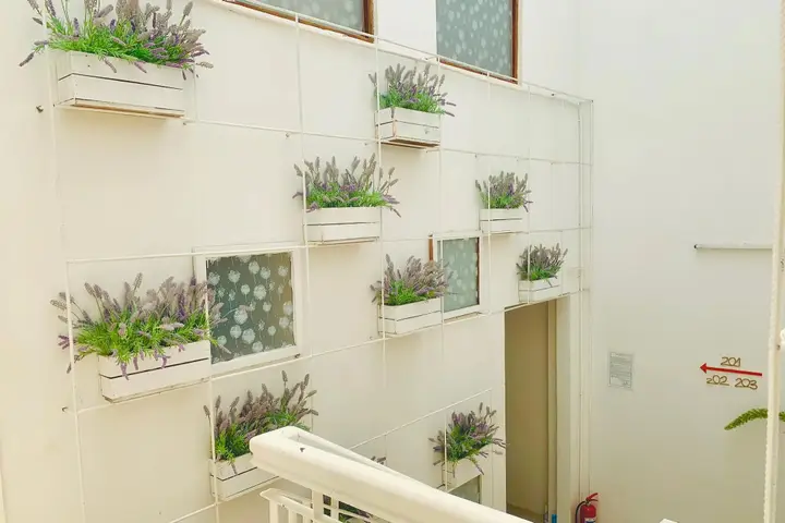 Далат: RedDoorz Amis Hotel near Da Lat Market