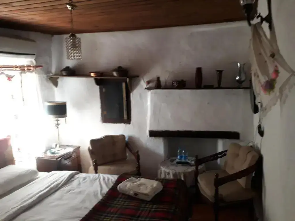 Шириндже: Dionysos Pension