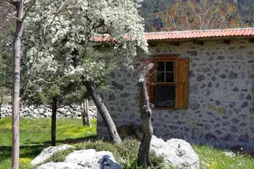 Фетхие: Blacktree Farm and Cottages