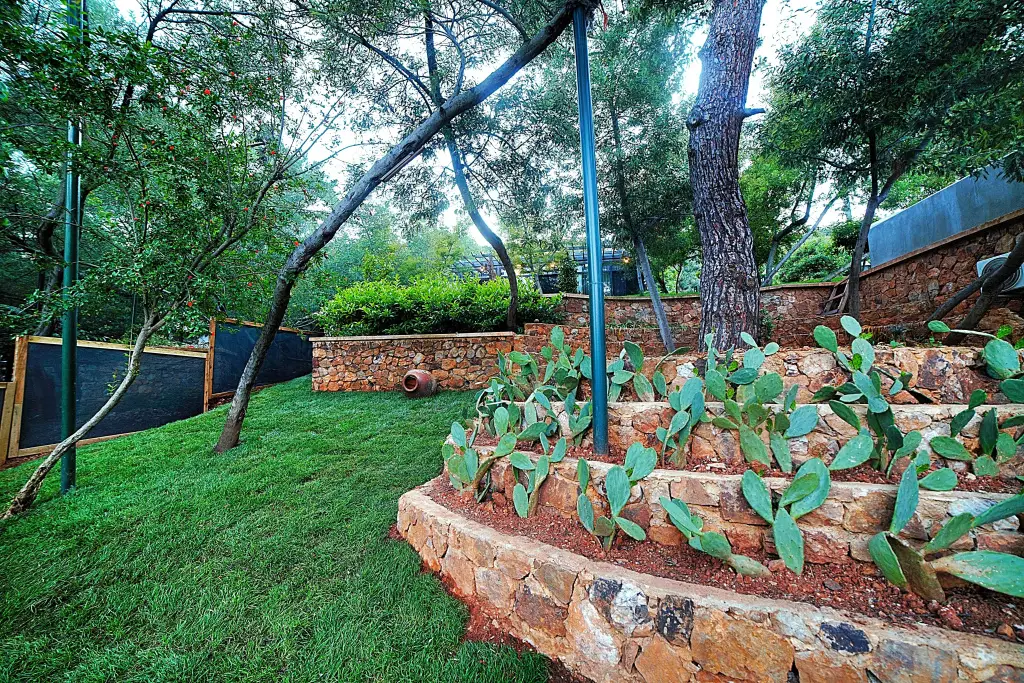 Бююкада: Triada Hotel Buyukada