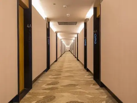 Begonia Inn — фото 1