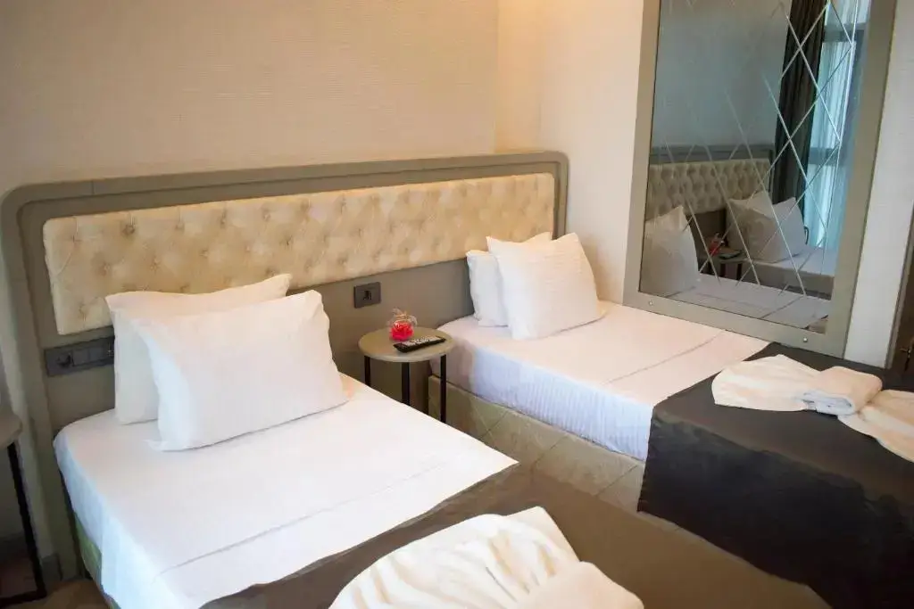 Стамбул: Mayer Hotel Istanbul