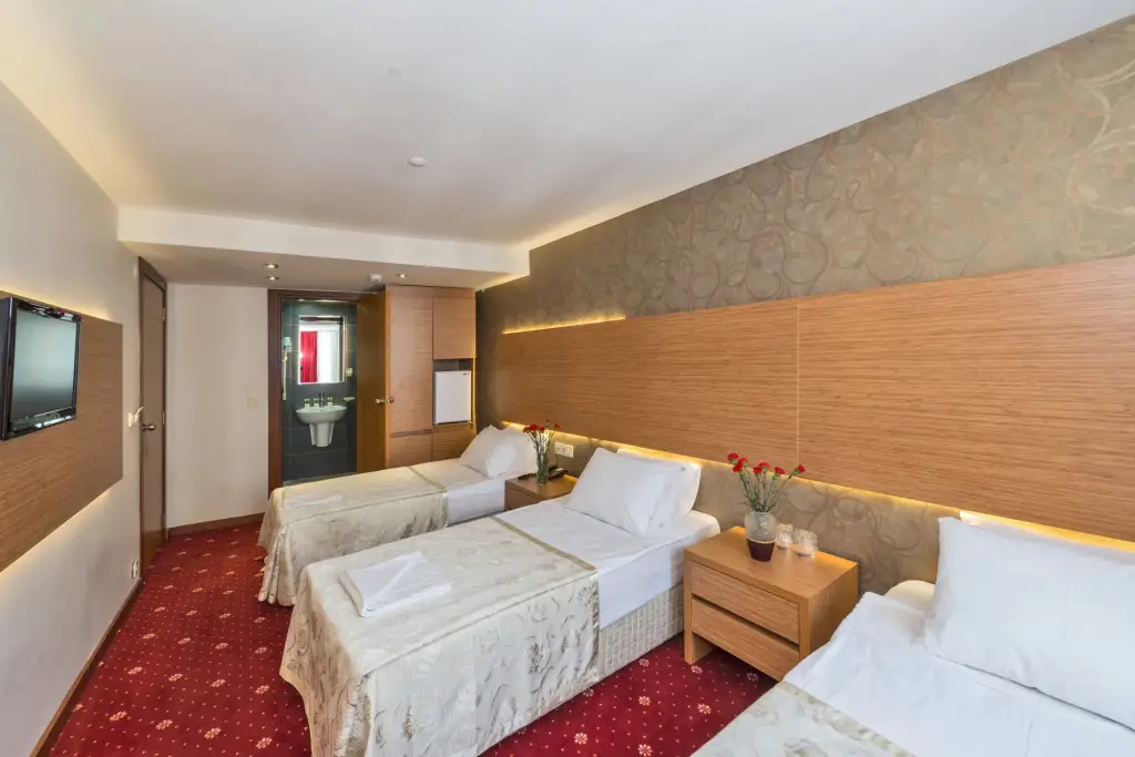 Стамбул: Erbazlar Hotel