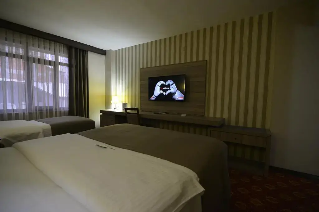 Дюздже: Hizel Hotel