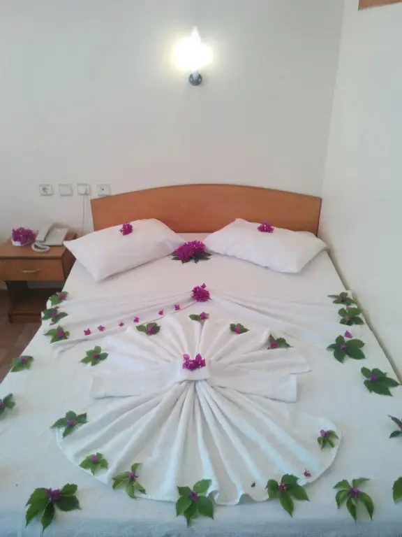 Гюзельчамлы: Art Hotel