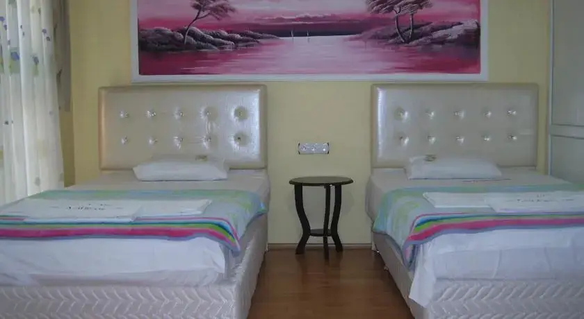 Малатия: Asilzade Hotel