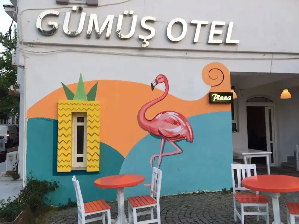 Gumus Hotel — фото 1