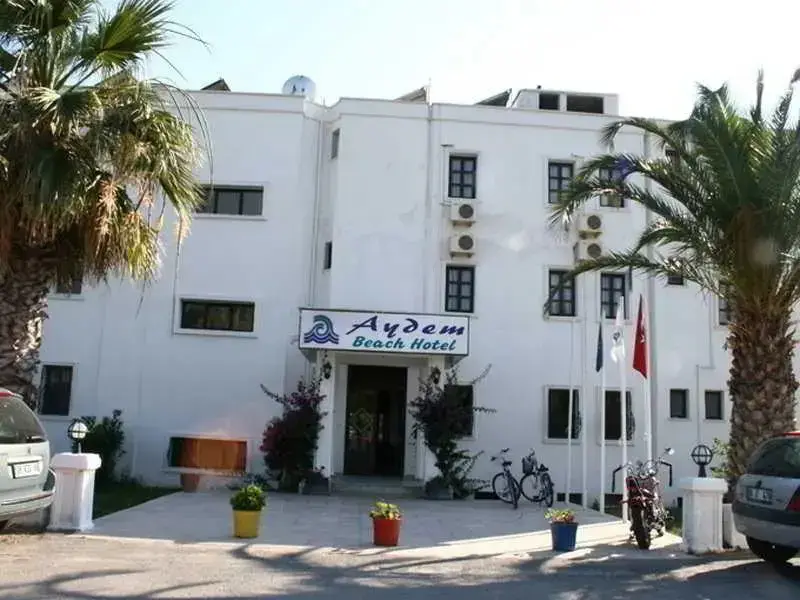 Aydem Hotel — фото 1