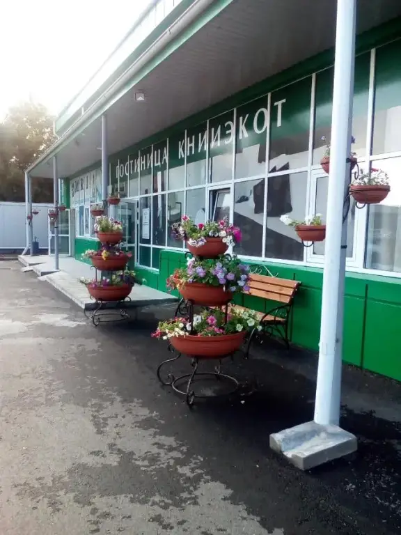 Отель Книиэкот — фото 1
