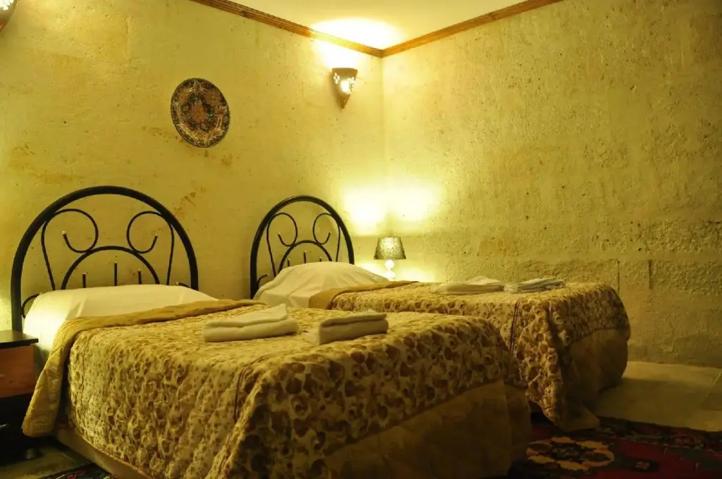 Аванос: Bir Kedi Villa