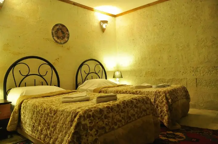 Аванос: Bir Kedi Villa