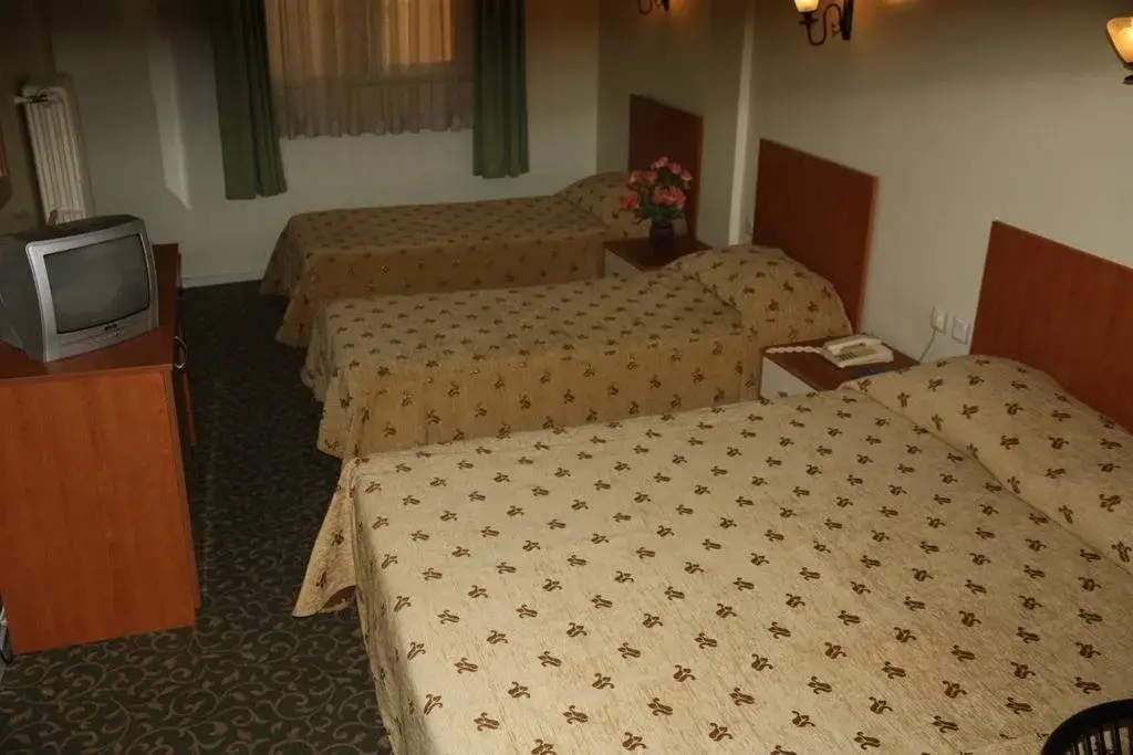 Стамбул: Maltepe Grand Hotel