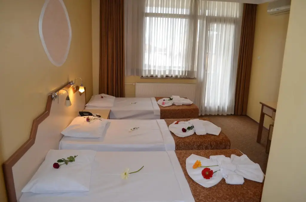 Айвалык: Ayvalik Palas Hotel