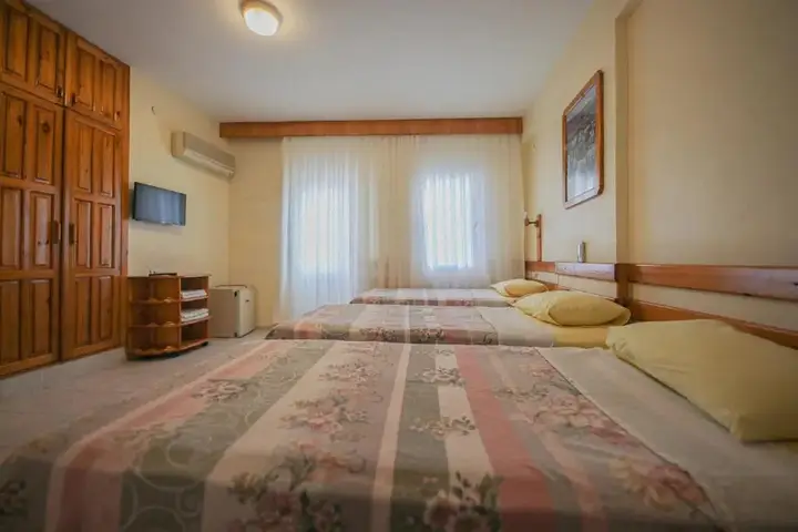 Силифке: Rain Hotel