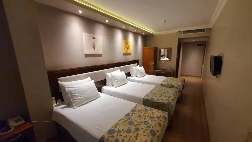 Стамбул: Asur Hotel