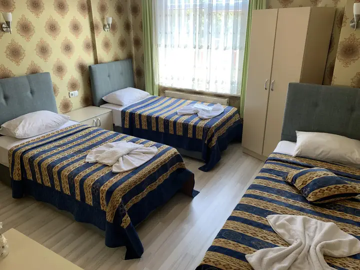 Стамбул: Anadolu Hotel