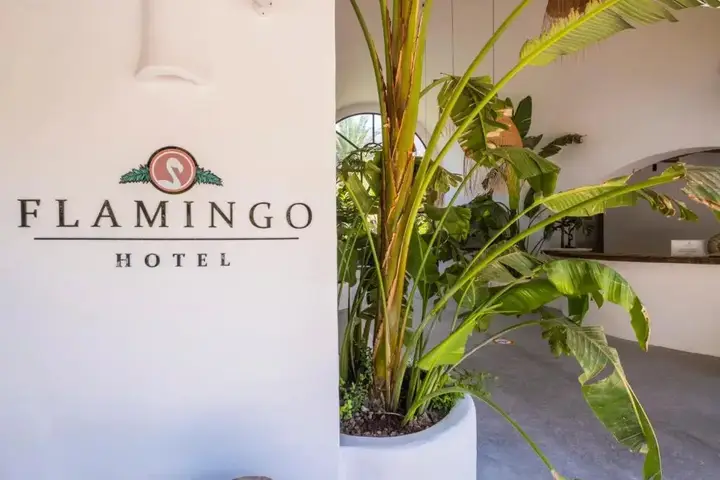 Олюдениз: Flamingo Hotel & Spa - Pet Friendly