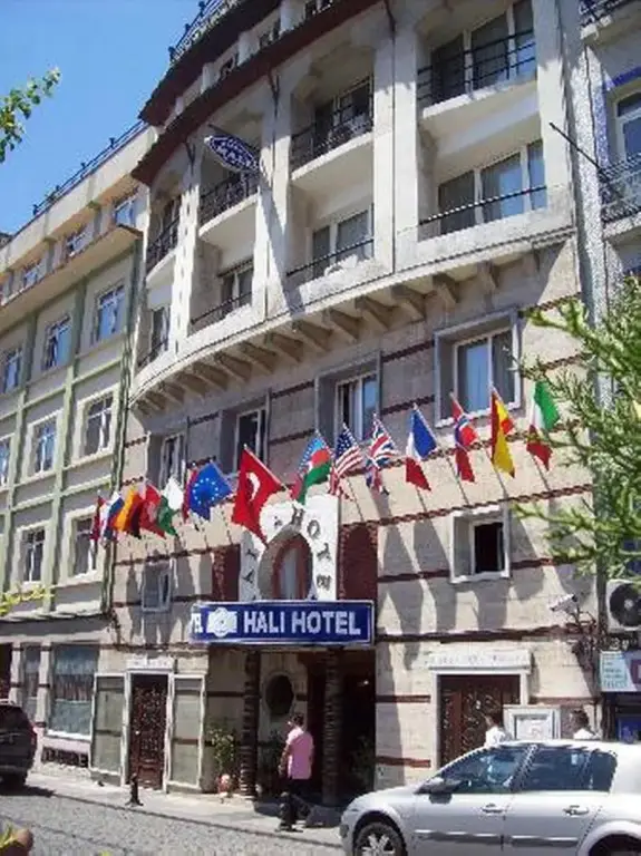 Hali Hotel — фото 1
