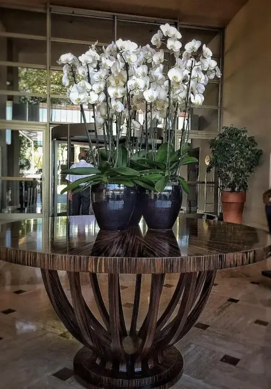 Стамбул: Cinar Hotel