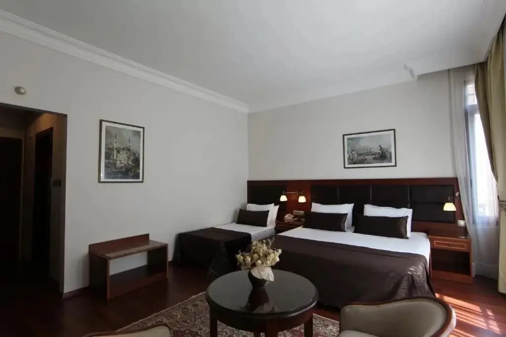 Стамбул: Vardar Palace Hotel - Special Class